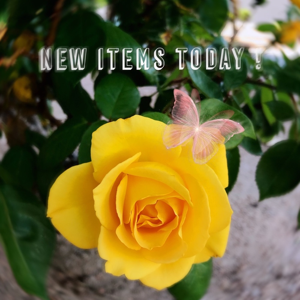 Follow for notifications of new listings 🤩